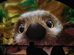 -海底巡游艇:尼莫和好友的海洋世界