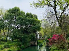 -西溪国家湿地公园