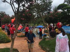 -武汉紫薇都市田园