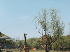 -宁波野生动物园