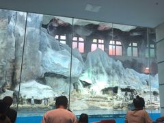 -帝企鹅自助餐厅•儿童岛•真企鹅(长隆企鹅酒店)