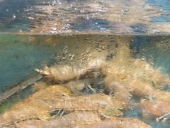 -龙宴海鲜城(经中路店)