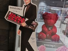 -ROSEONLY诺誓(国际广场购物中心店)