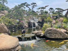 -罗红摄影艺术馆