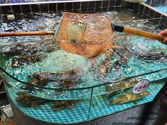 -巧克力渔家.小船海鲜胶东菜(万平口店)