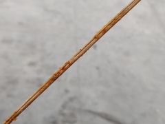 -里脊肉串店(天桥老店)