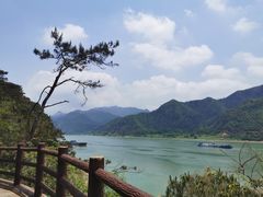 -羚羊峡古栈道森林公园