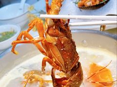 -喜聚薈·花膠雞海鮮火鍋(越秀店)