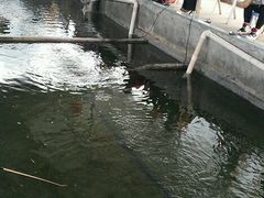 -小象钓虾·营地烧烤(洛溪店)