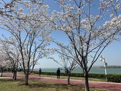 -幕燕滨江·长江观音景区