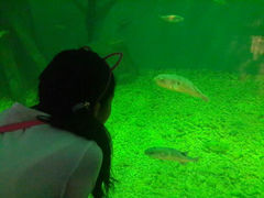 android_upload_pic-上海长江河口科技馆
