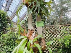 -华南国家植物园-售票处