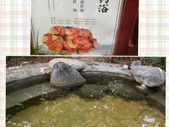 -青城道汤池