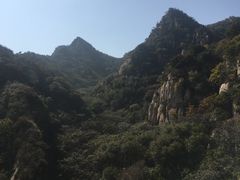 -大岭沟猕猴桃谷风景区