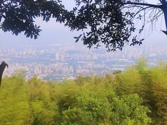 -缙云山景区