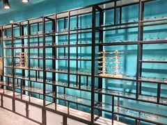 -Trend1881视光·蔡司视觉(领展广场店)