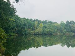 -邓小平故里