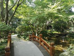 -中国茶叶博物馆(双峰馆区)