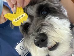 -达爱动物医院·犬猫分区·CT·复杂眼科(远洋山水分院)