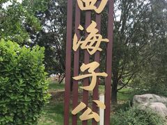 -西海子公园