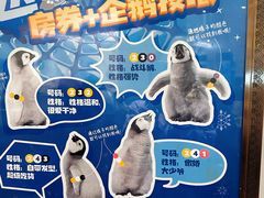 -帝企鹅自助餐厅•儿童岛•真企鹅(长隆企鹅酒店)