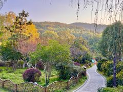 -南山风景名胜区