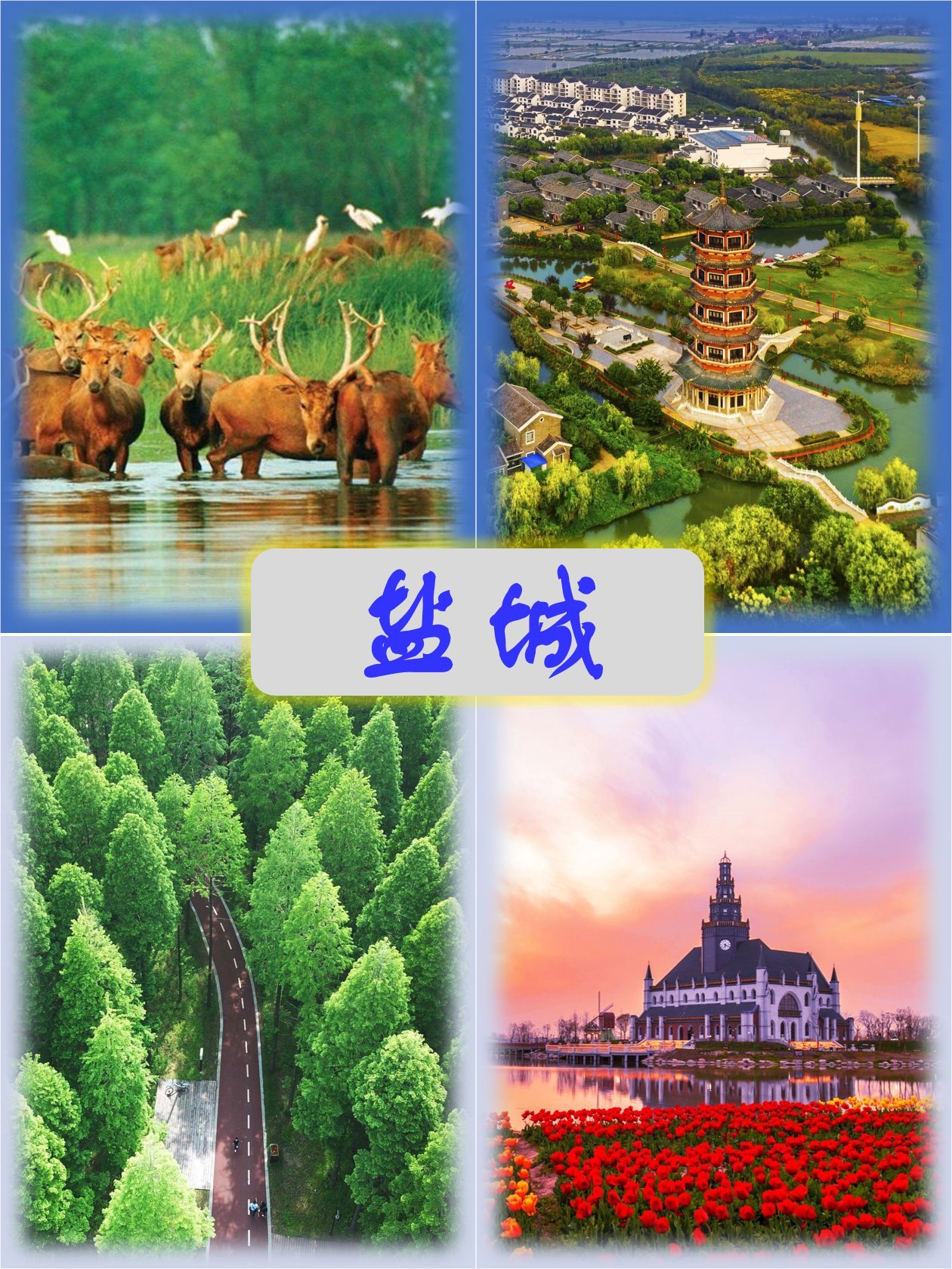 https://qcloud.dpfile.com/pc/K7Pp5wdxq3Sb9DDJmcBCoEpzNqV74VFMcu0PdfEeD9CzIAuU1MKYBfUl2qK-hxYwY0q73sB2DyQcgmKUxZFQtw.jpg