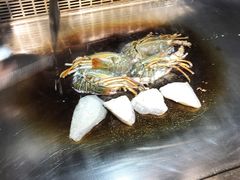 小青龙-海玥荟海鲜姿造自助餐厅(欧罗巴广场店)