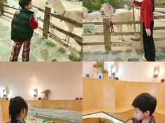 -珠海海泉湾度假区