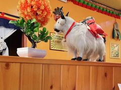 -如意林卡藏餐吧(大昭寺店)