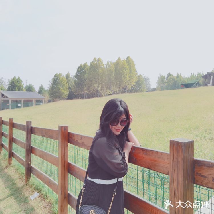 实用tips：江宁美丽乡村