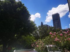 -南海迎宾馆·经典南海菜