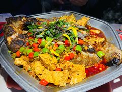-马邦子·紫苏烤鱼(恒隆广场店)