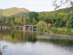 -石塘人家