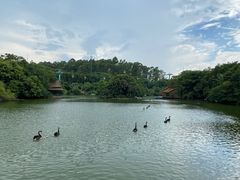 -广州长隆野生动物世界
