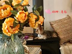 -春风十里咖啡馆