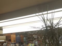 -苏小柳点心·手作小笼包(浦东嘉里城分院)