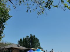 -棒棰岛宾馆景区