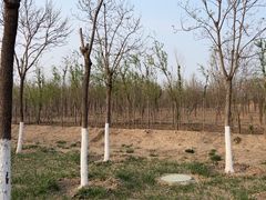 -天津东丽湖风景区