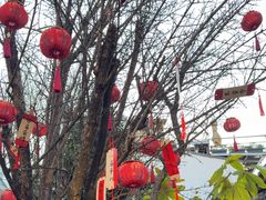 -尽善百年古院餐厅(王家老宅店)