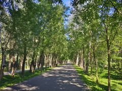 -东郊湿地公园