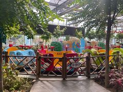 -南宫五洲植物乐园