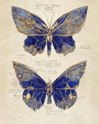 -Oasis Beauty水磨坊科技美肤中心