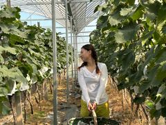 -马陆小张葡萄园农家乐