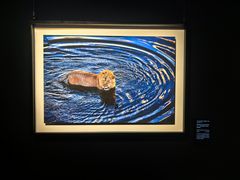 -罗红摄影艺术馆