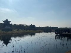 -上海海湾国家森林公园