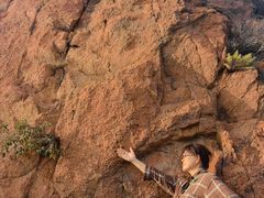 -红山国家森林公园