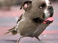 -蓝海国际大饭店·蓝钻自助百汇(兰山店)