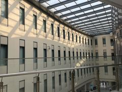 -首都医科大学附属北京天坛医院