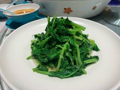 清炒豌豆尖-悦融琥珀·京鲁菜·海味珍品(西单店)